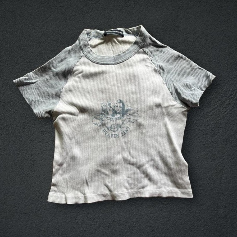 Brandy Melville crop top
